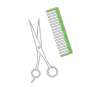 alitpos-clients-salo
